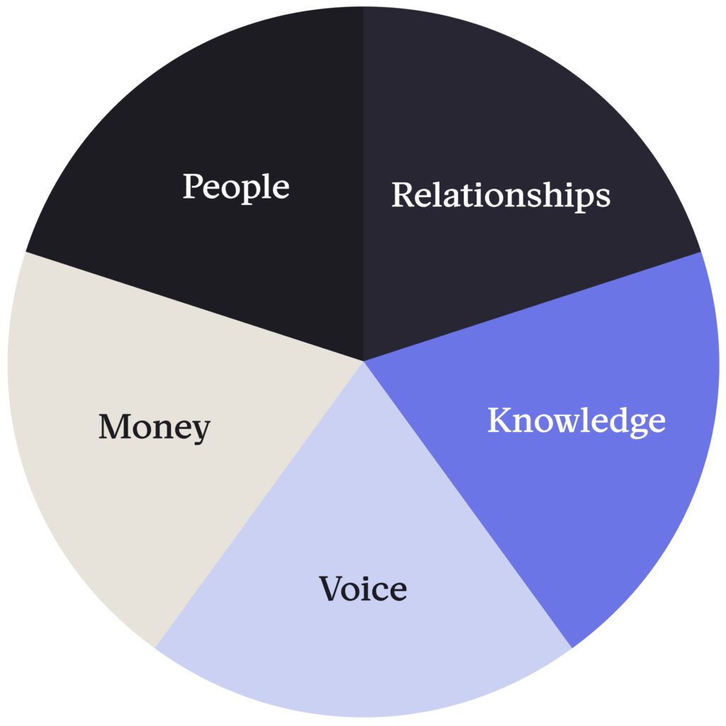 piechart of the breakdown between people, relationships, money, knowledge and voice, all equal parts